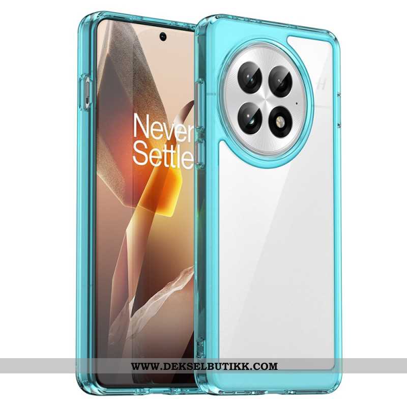 Deksel Oneplus 13 Hybrid