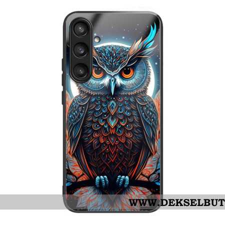 Deksel Samsung Galaxy S25 5g Fargerik Ugle Herdet Glass