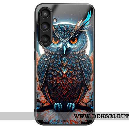 Deksel Samsung Galaxy S25 Plus 5g Farget Ugle I Herdet Glass