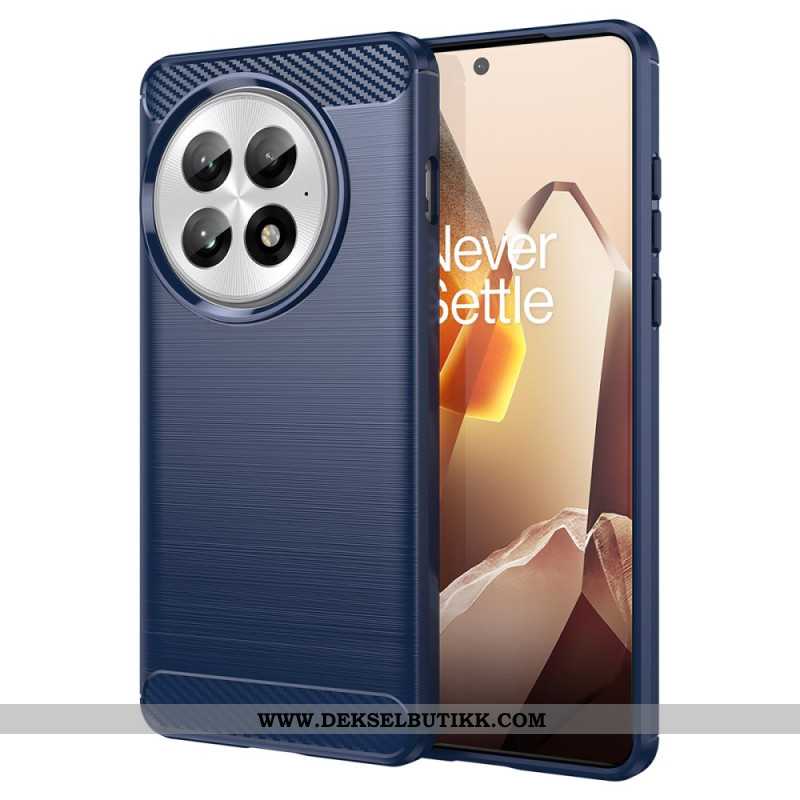 Deksel Til Oneplus 13 Børstet Karbonfiber